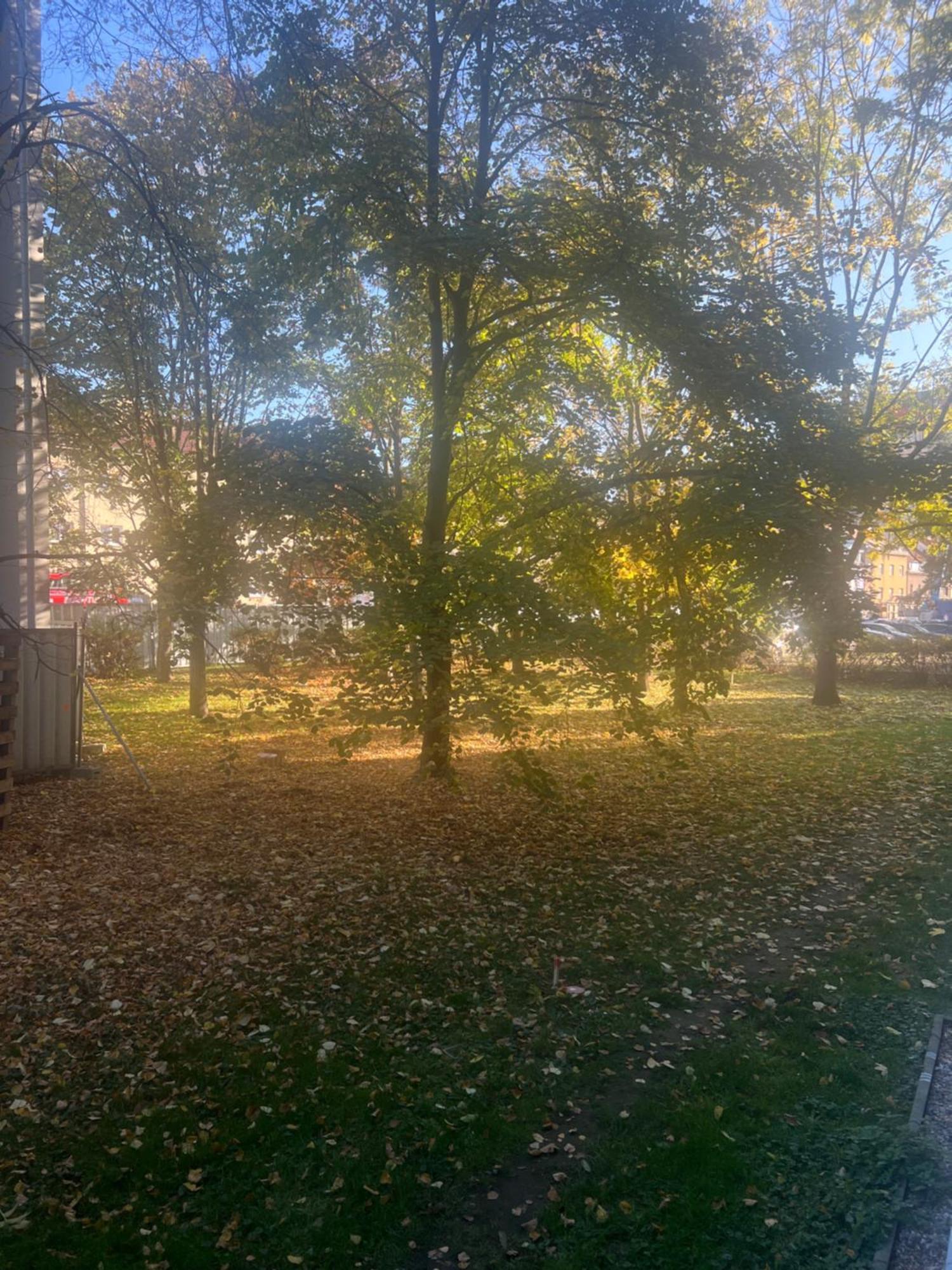 Utulny Prostorny Tichy V Blizkosti Centra Daire